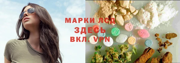 мяу мяу мука Беломорск