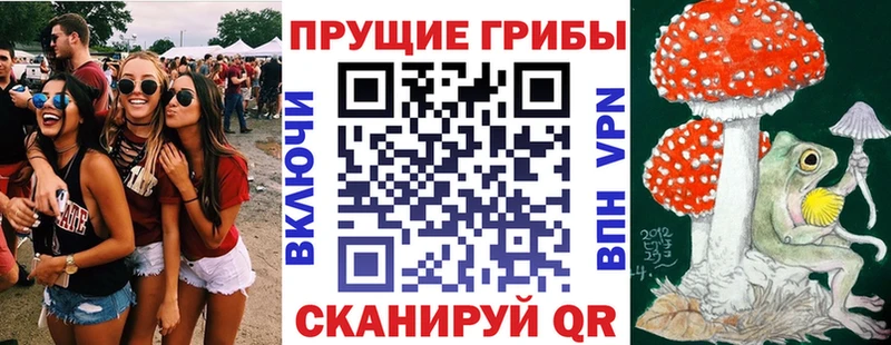 Псилоцибиновые грибы MAGIC MUSHROOMS  Таганрог 